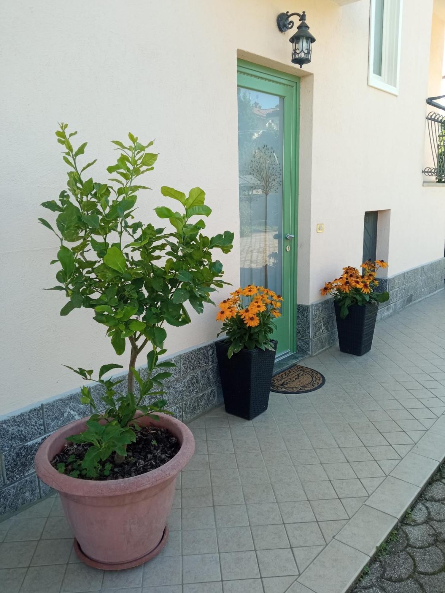 B&B L'Ortensia Vignolo Zewnętrze zdjęcie
